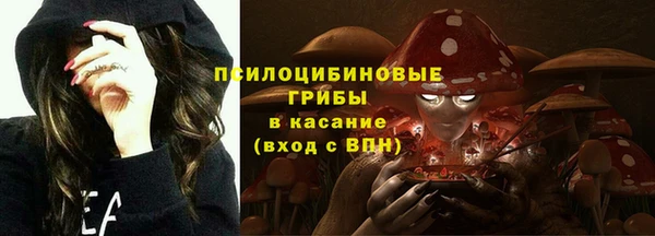 ГАЛЛЮЦИНОГЕННЫЕ ГРИБЫ Арсеньев