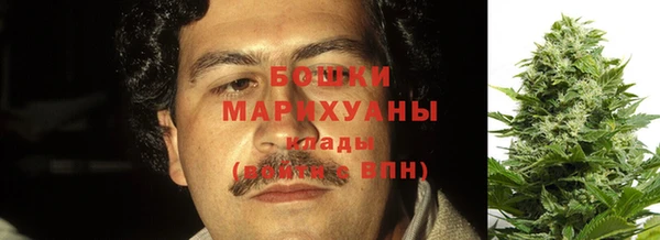 стаф Аркадак