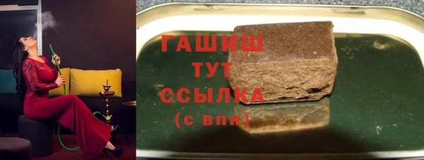ECSTASY Алзамай