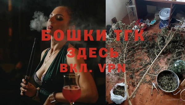 стаф Аркадак
